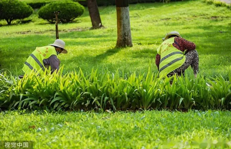 米乐m6官网登录入口：威尔逊网球拍货号