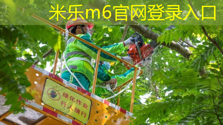 mile·米乐m6：网球拍一般多少价钱