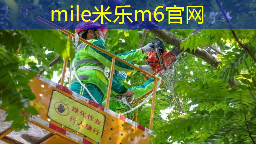 网球拍的挥法是什么