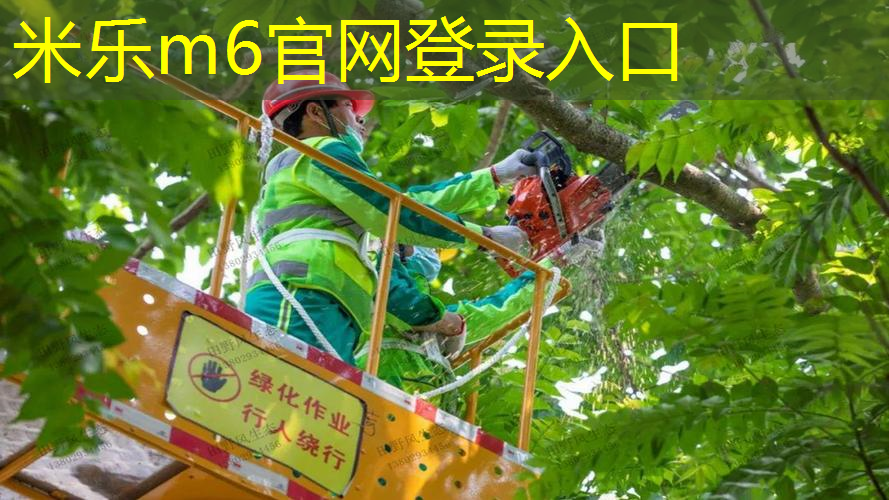 mile·米乐m6：寻甸的乒乓球台
