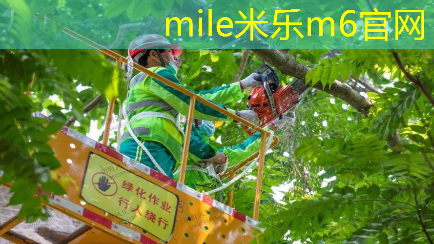 mile米乐m6官网：室内有氧健身操29分钟完成