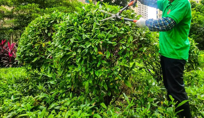 辛纳用的什么网球拍底板