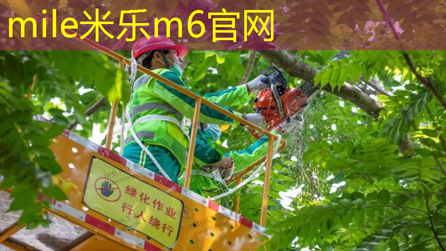 怎么降网球拍头角度呢图解