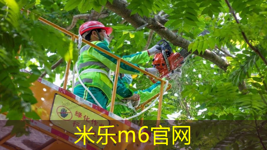 网球拍手胶定制价格多少