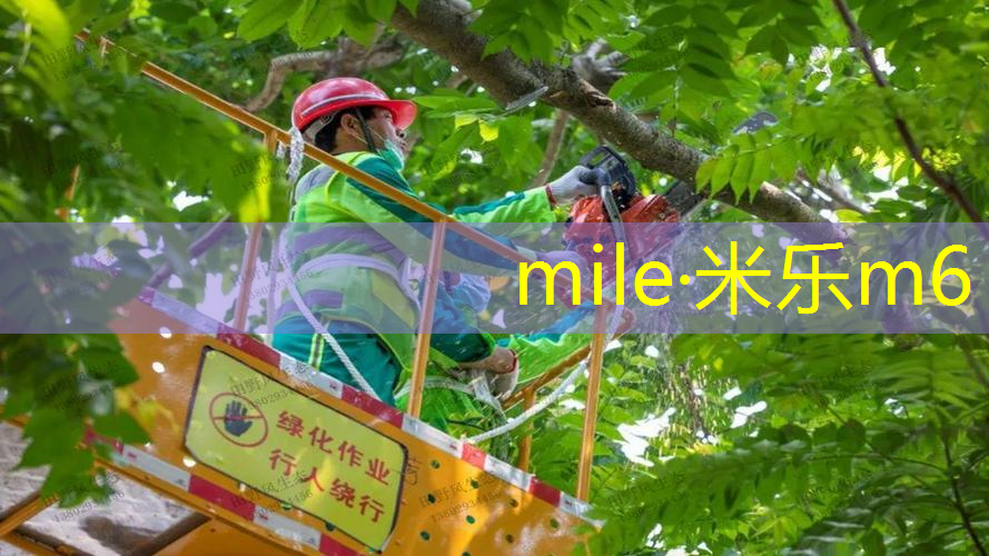 让孩子与自然亲近，儿童户外游乐设施为你答疑解惑！